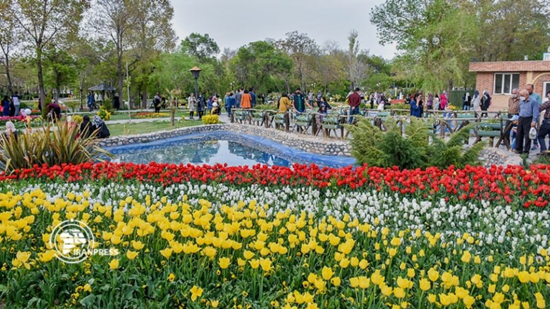 تصاویری بسیار زیبا از جشنواره جذاب و دیدنی گل های لاله در باغ گل های شهرداری اراک