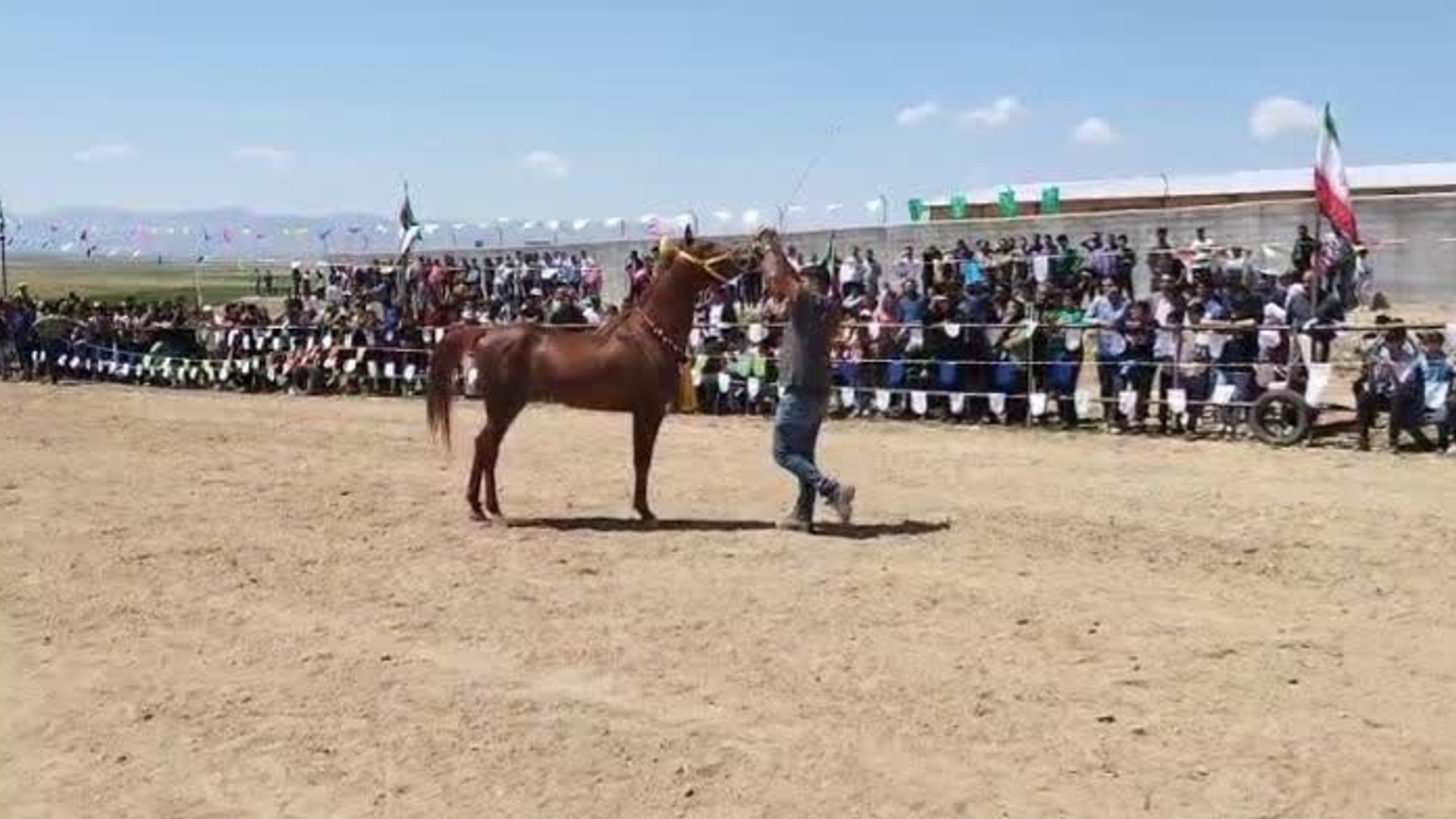 دومین همایش بزرگ اسب سواری و نمایش دست گردان اسب