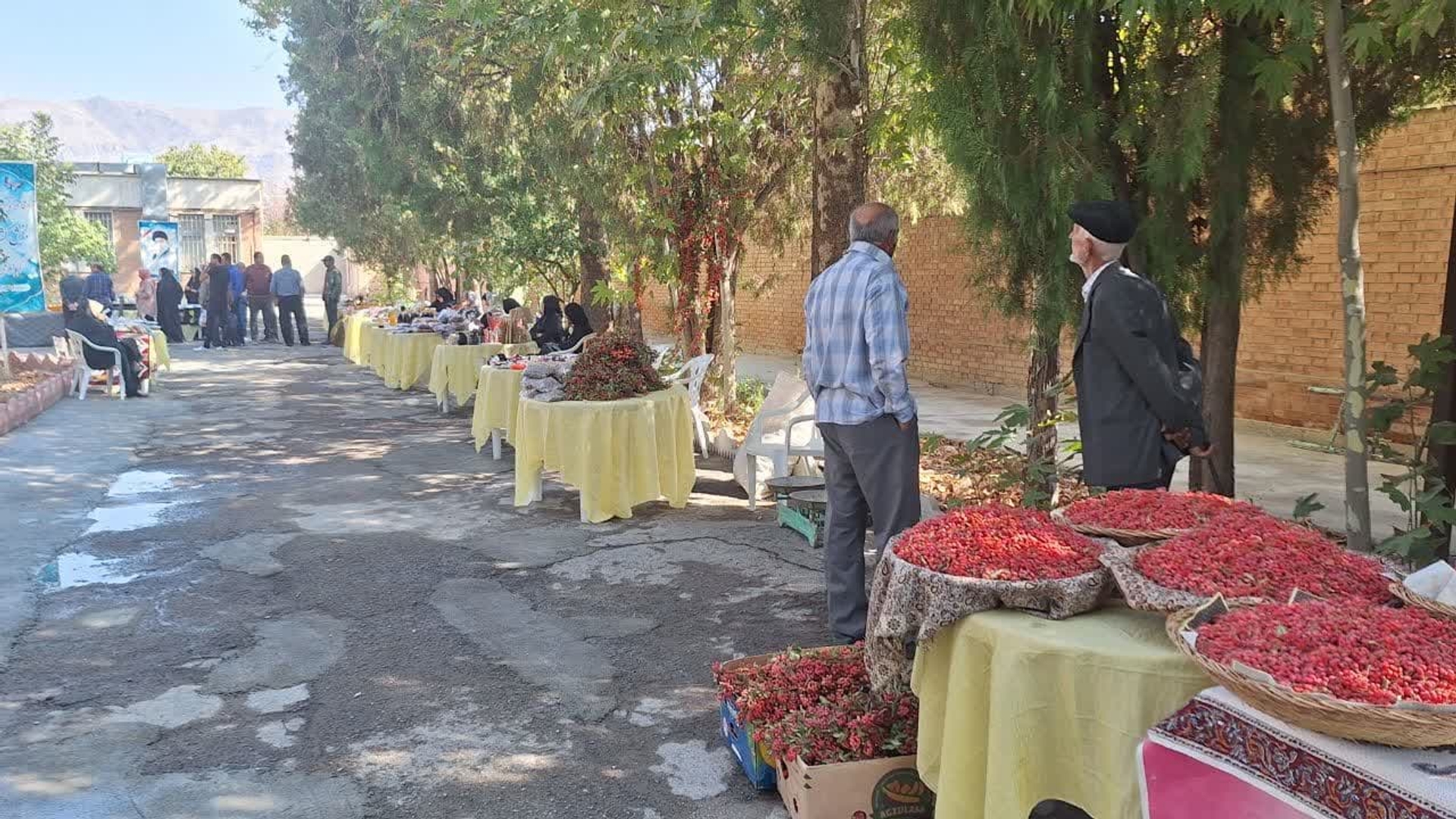 افتتاح بازارچه پاییزه و نمایشگاه  توانمندی های زنان روستایی به مناسبت روز جهانی زن روستایی در شهرستان تفرش