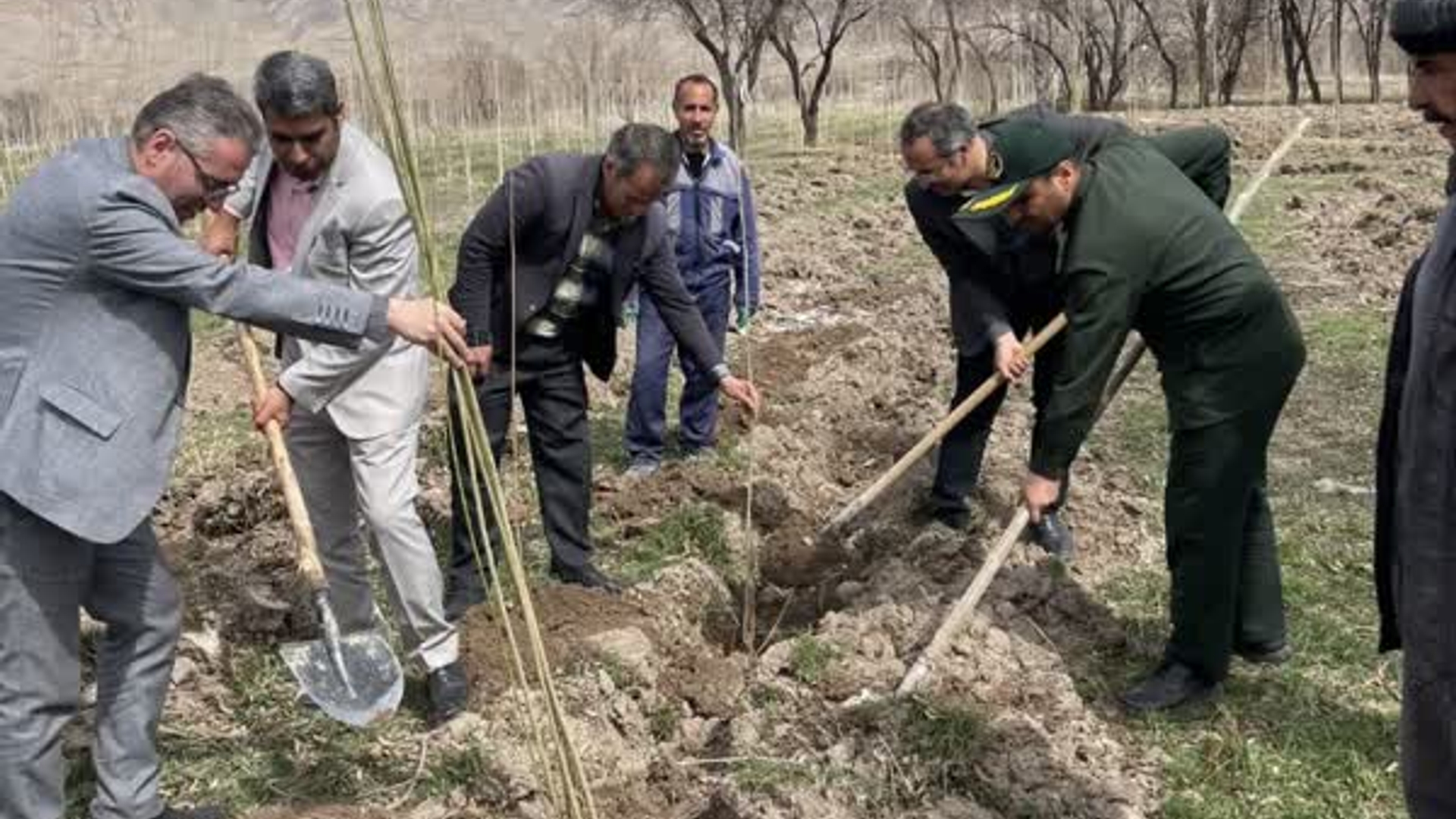 کاشت ۱۰۰۰ اصله نهال غیر مثمر در تصفیه خانه فاضلاب شهر تفرش