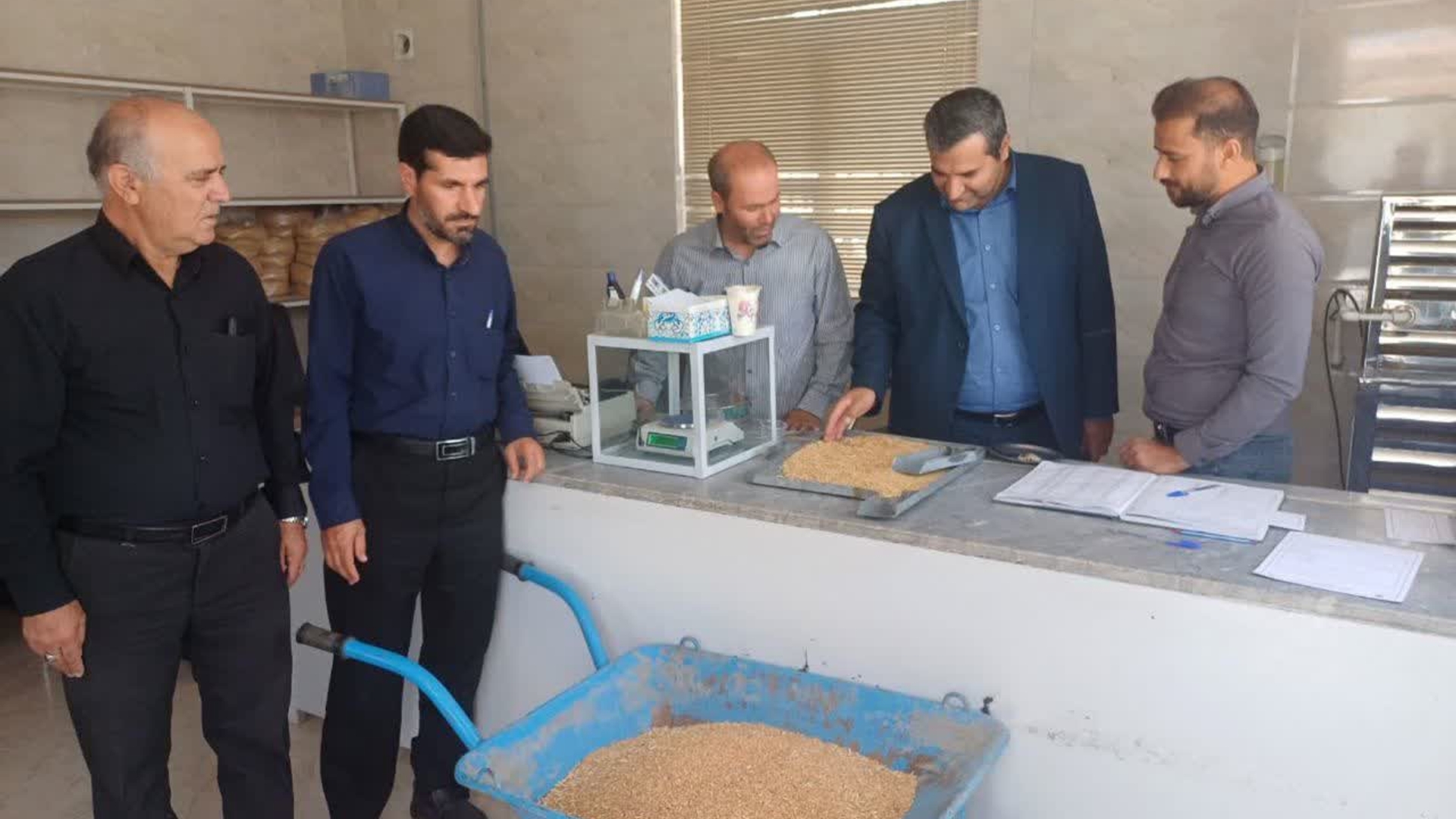 🔻بازدید فرماندار شهرستان کمیجان از فرایند خرید تضمینی گندم