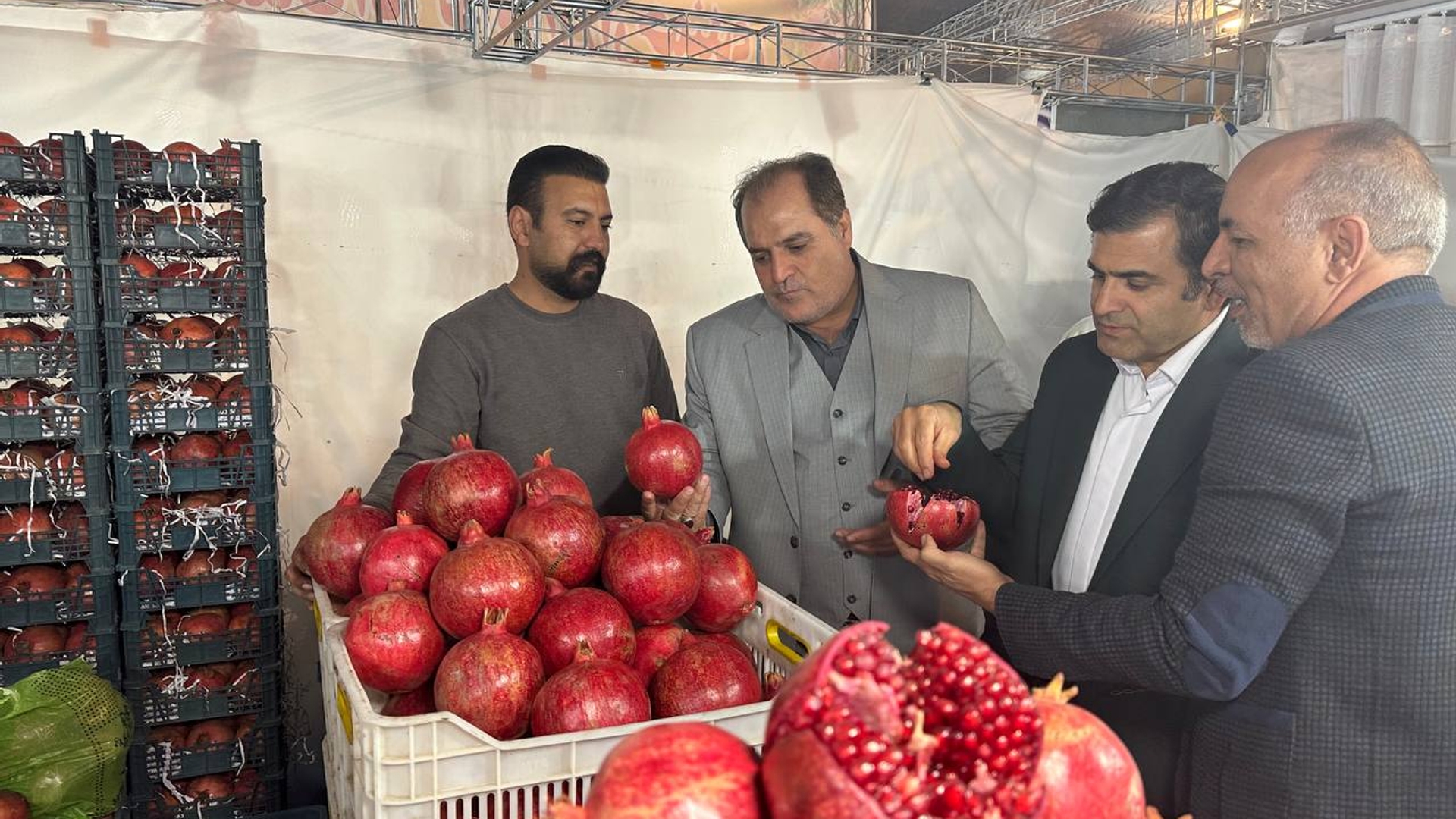گزارش. تصویری از چهارمین جشنواره انار ساوه