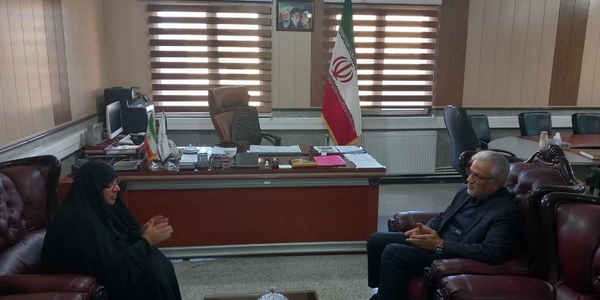 نشست بررسی مسائل اجتماعی زنان و خانواده در فرمانداری زرندیه برگزار شد
