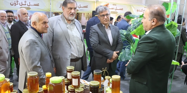 حضور همزمان استانداران ادوار استان مرکزی در جشنواره عسل و زعفران خمین؛ تأکید بر توسعه محصولات استراتژیک