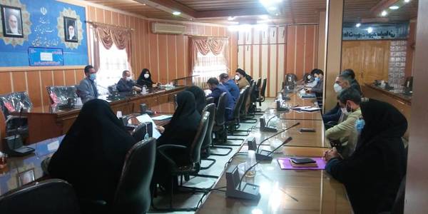 جلسه کارگروه تخصصی امور اجتماعی و فرهنگی ، سلامت ، زنان و خانواده شهرستان خمین برگزار شد .