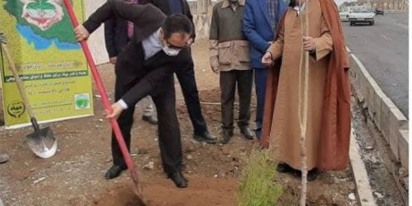 گزارش تصویری مراسم درخت کاری در شهر میلاجرد