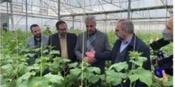 افتتاح واحد گلخانه در روستای فتح آباد