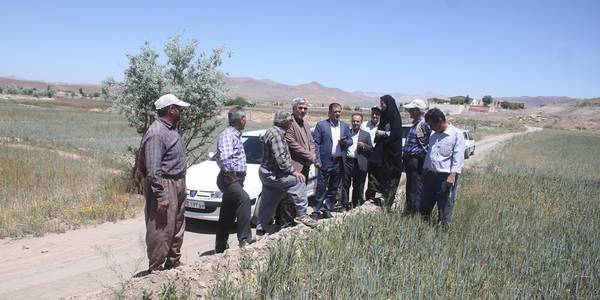 فرماندار و مدیر عامل شرکت آب منطقه ای استان از روستاهای مزاین و جلماجرد شهرستان خمین بازدید کردند