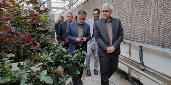 فرماندار از تعداد یک واحد گلخانه صنعتی در روستای شهابیه بازدید کرد