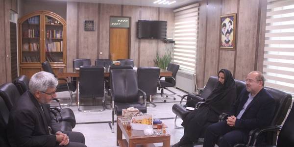 نشست مدیر کل کتابخانه های عمومی استان با فرماندار شهرستان خمین برگزار شد
