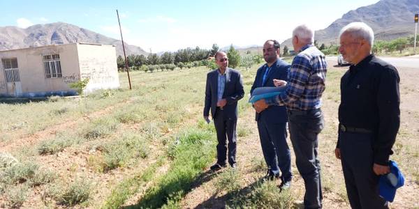 دهگردشی  روستای خورهه