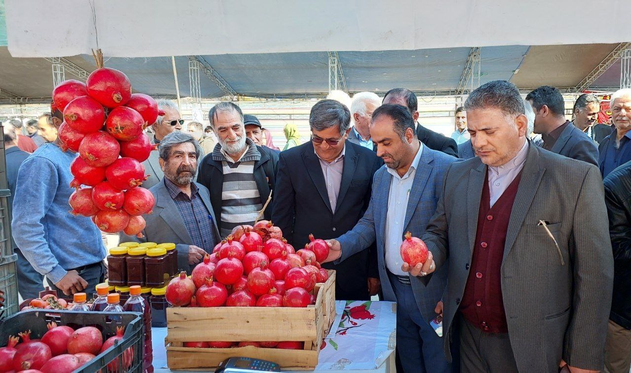 آیین افتتاح پنجمین جشنواره انار در روستای خورهه برگزار شد.