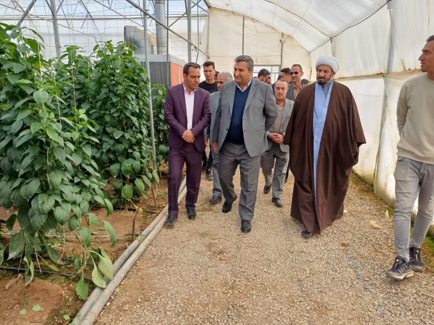 گلخانه روستای فامرین افتتاح شد